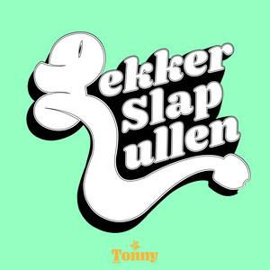 Albumhoes van Slap lullen!